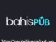 Bahispub